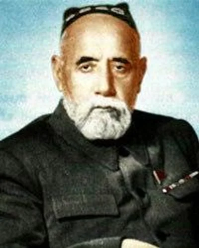 صدر الدين عيني