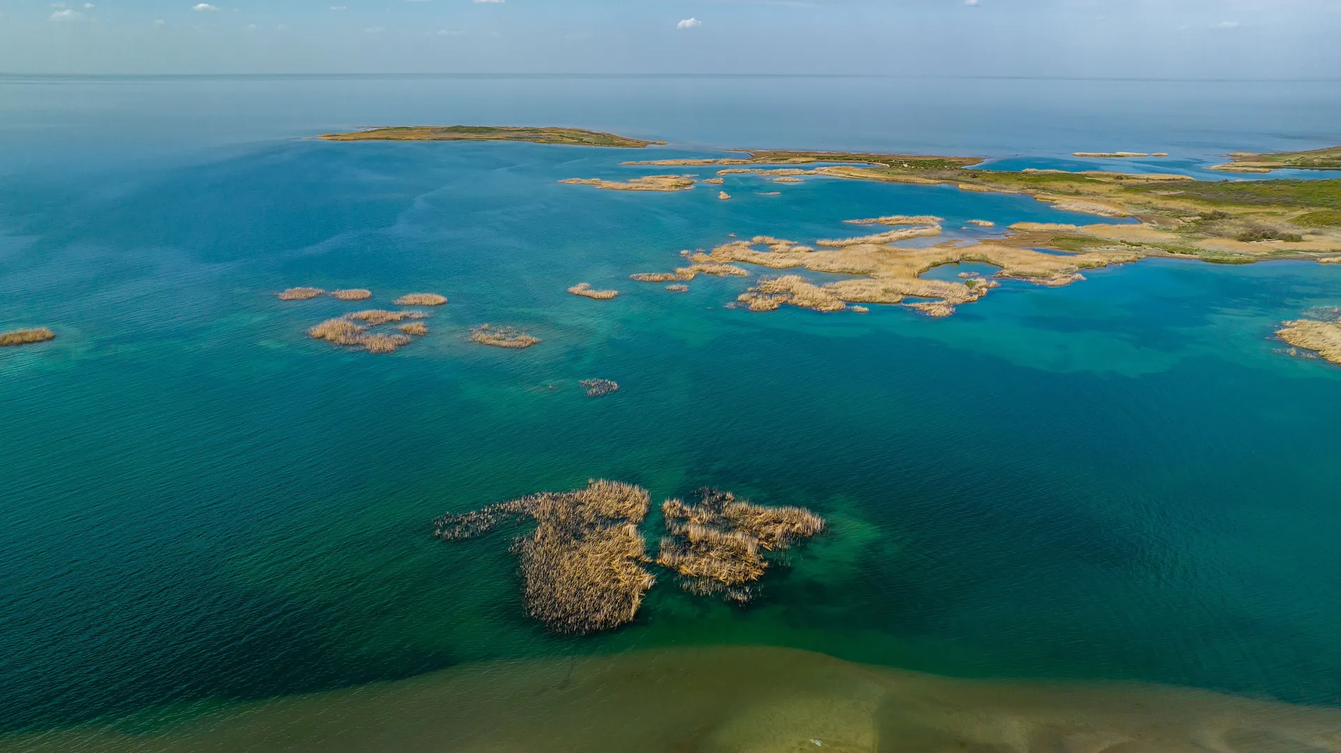 Turquoise shallows and reed islands in the Aydar–Arnasay lake system, a bird sanctuary in the Kyzylkum that formed by accident in 1969 when floodwater from the Syr Darya was released into the desert.