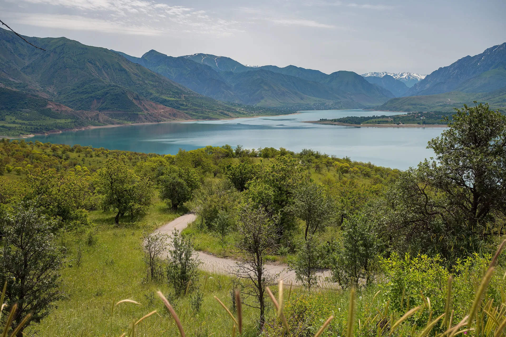 Green hills above the Charvak Reservoir in spring, inside the Ugam-Chatkal National Park.