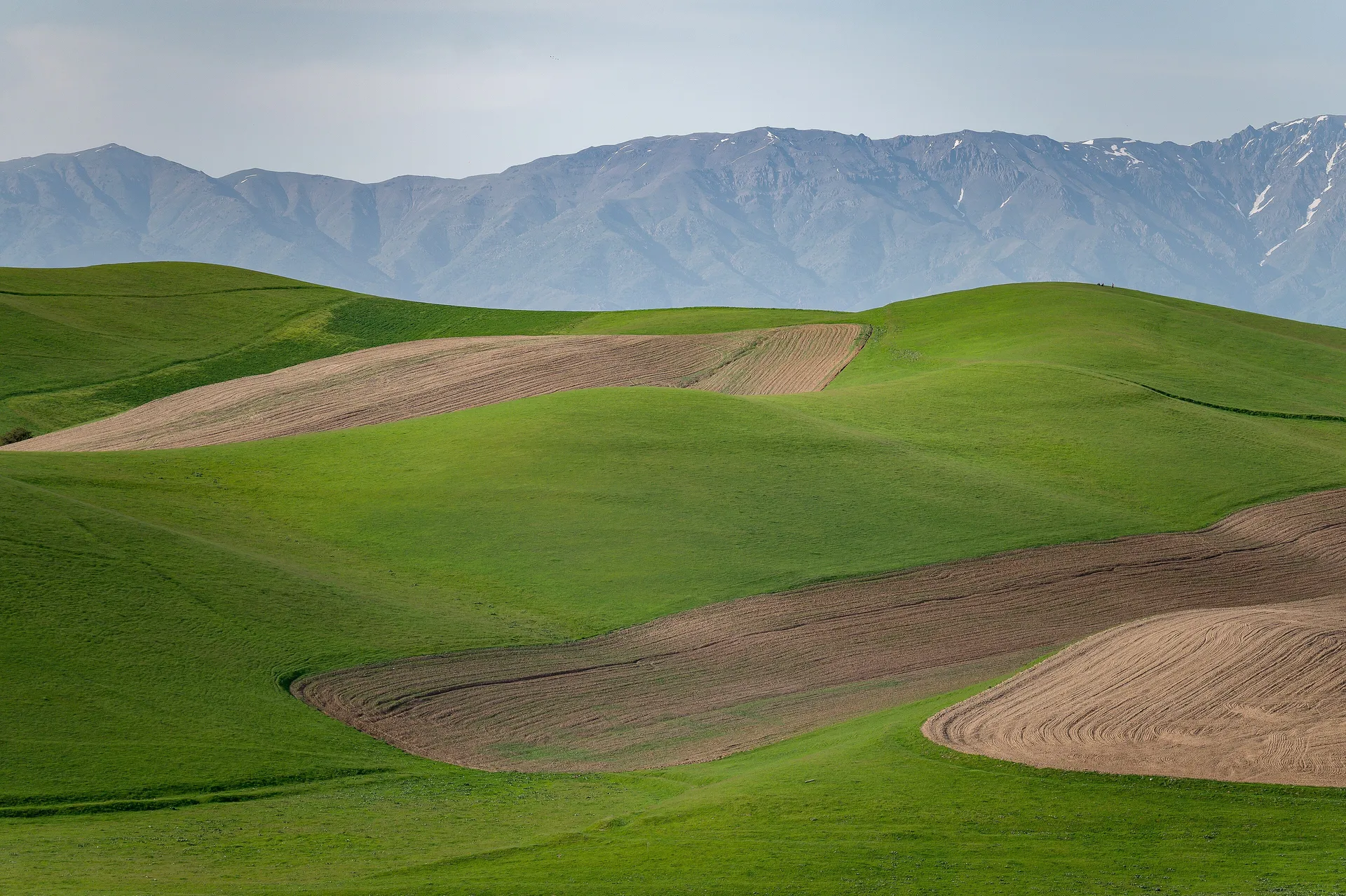 Rolling green hills at Galvasai in spring, in the Ugam-Chatkal reserve north-east of Tashkent.