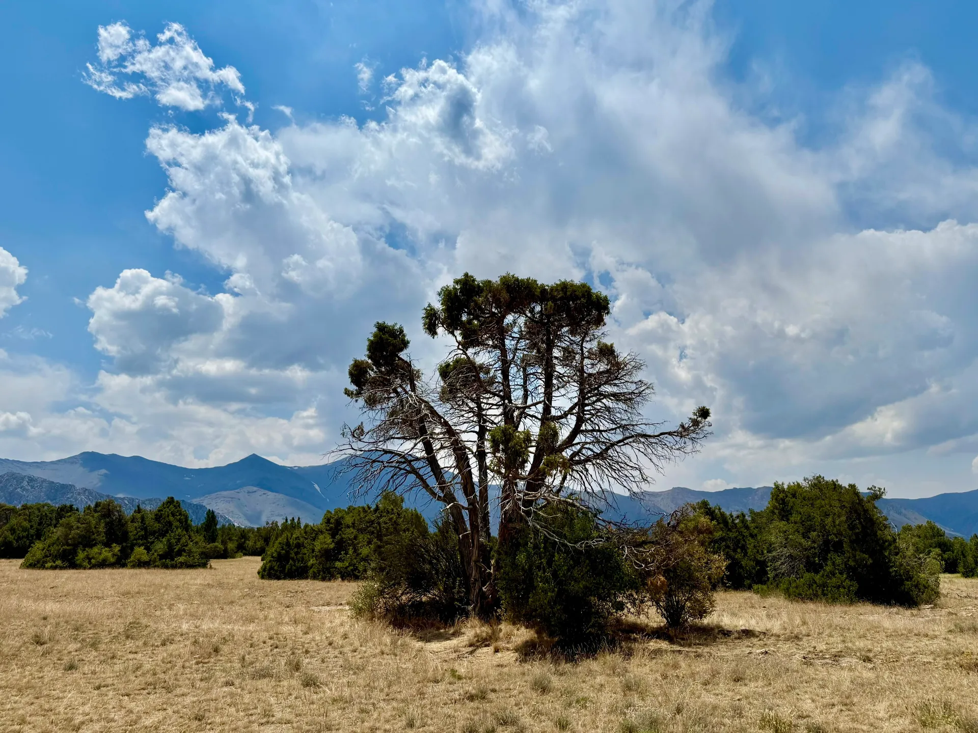 Zaamin National Park