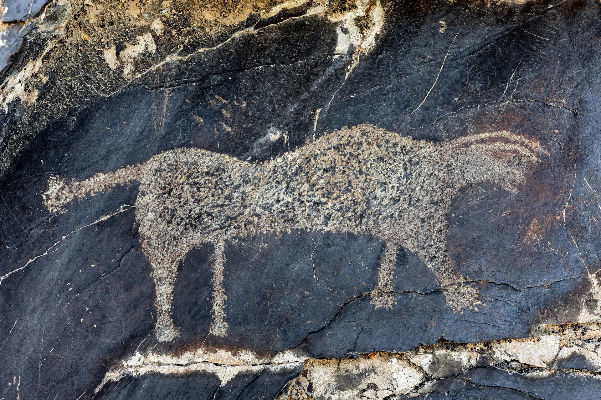 Sarmishsay petroglyphs