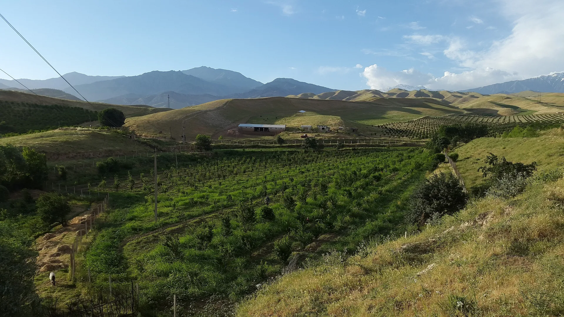 The far south: Shahrisabz and Termez